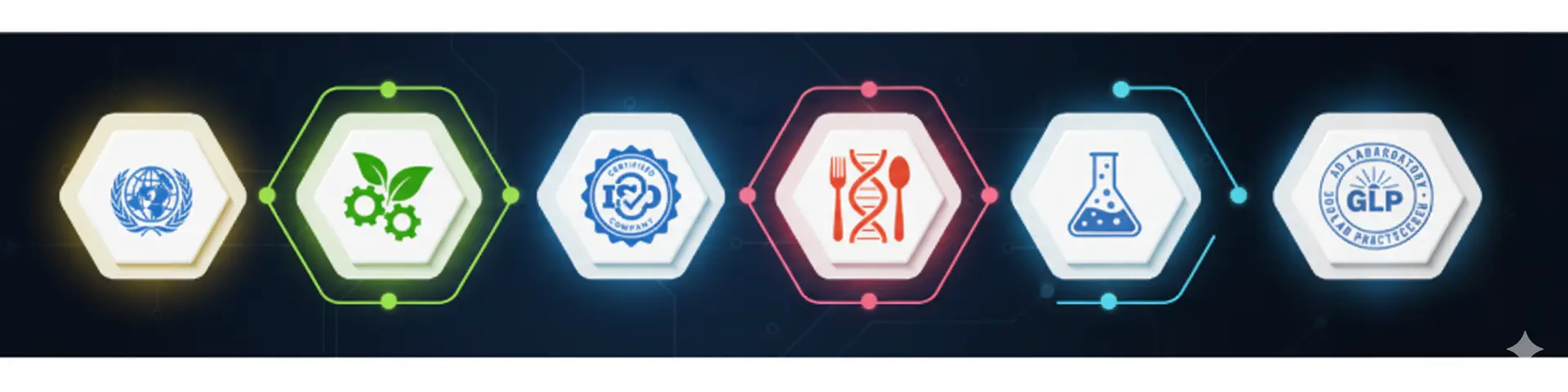 Gemini_Generated_Image_l0e0chl0e0chl0e0